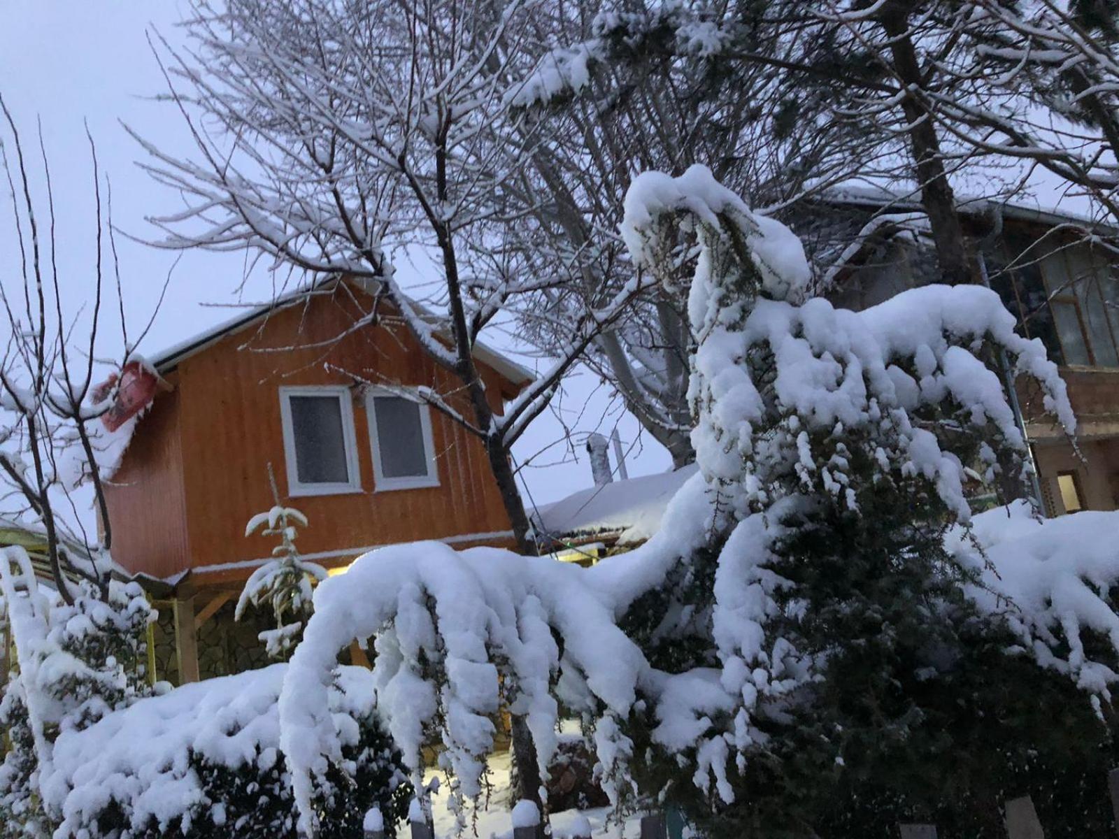 Bujtina Gashi Guest House Kukes Luaran gambar